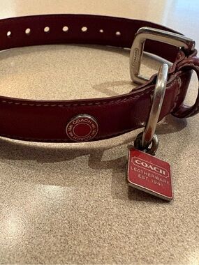 Coach XS Leather Pet Collar with Coach Tag & Grommets XS